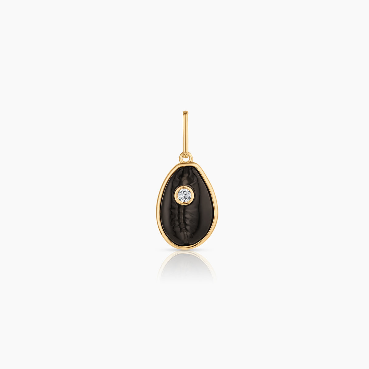Cowrie Onyx Shell – THATCH