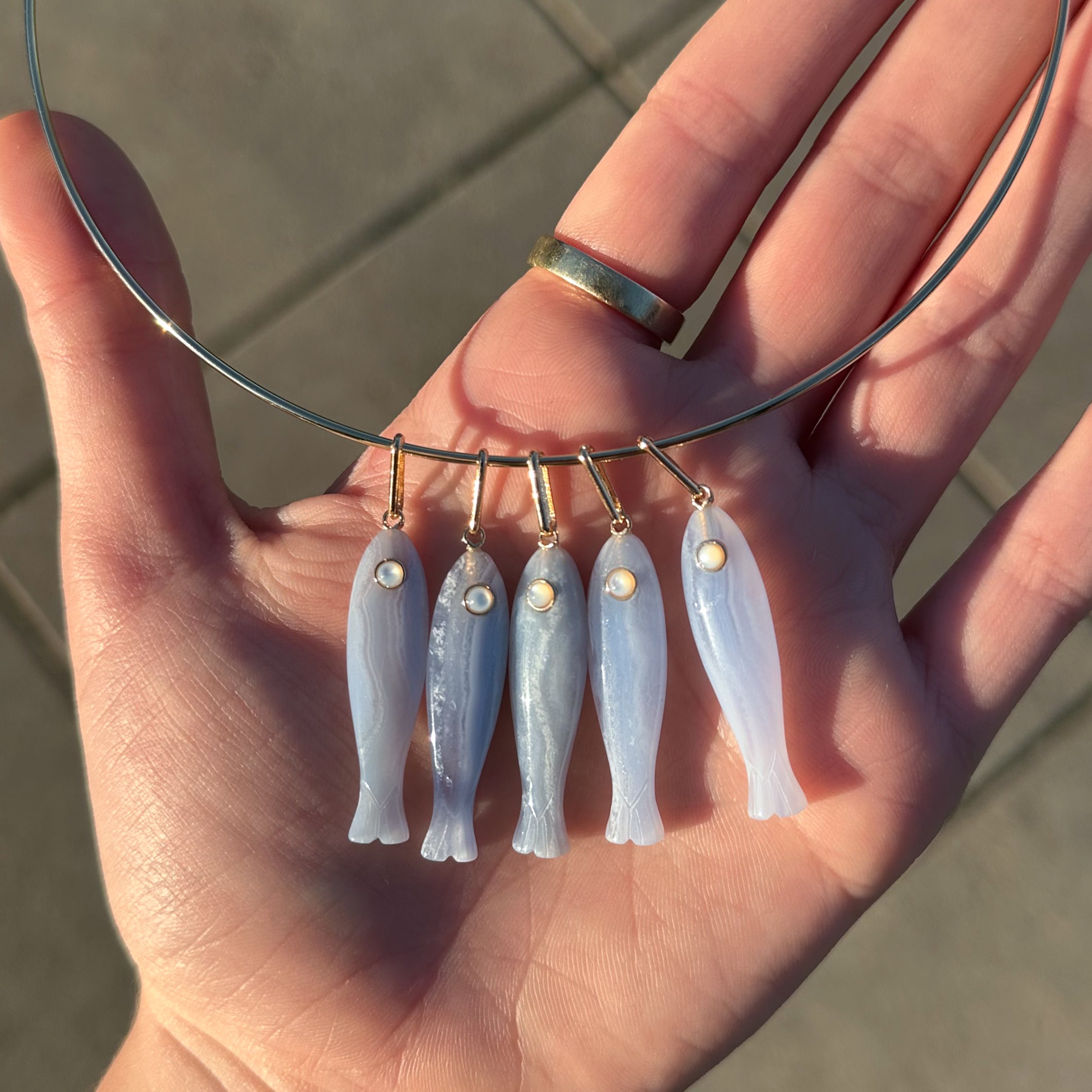 Fortuna Blue Lace Fish 16-18