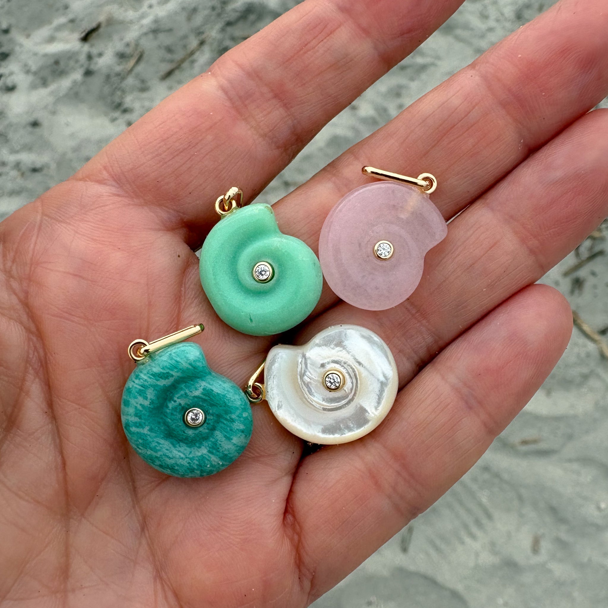 Nautilus Mother Of Pearl Spiral Shell – THATCH