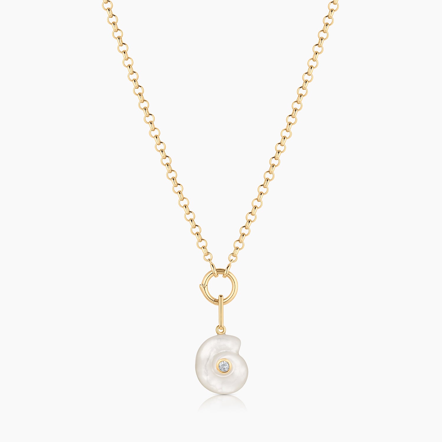 Nautilus Mother Of Pearl Spiral Shell – THATCH